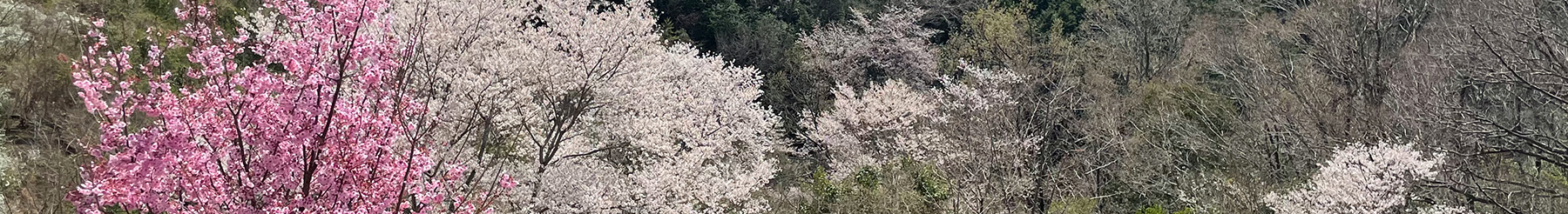 運営会社について